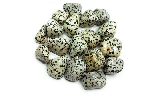 Tumbled Dalmatian jasper